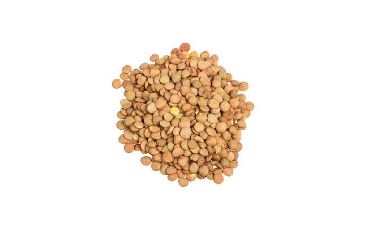 Brown Lentil