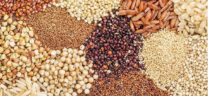 Grains